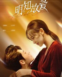 Đã Biết Rõ Còn Cố Ý Yêu