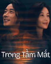 Trong Tầm Mắt
