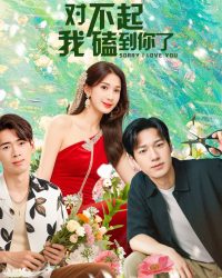 Xin Lỗi, Lỡ Đụng Phải Em Rồi